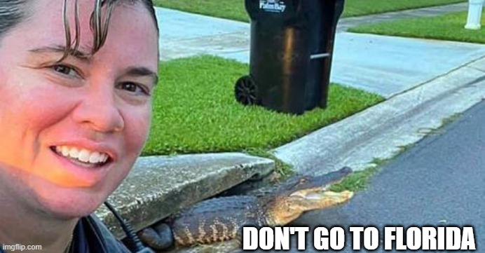 DON'T GO TO FLORIDA | image tagged in alligator | made w/ Imgflip meme maker