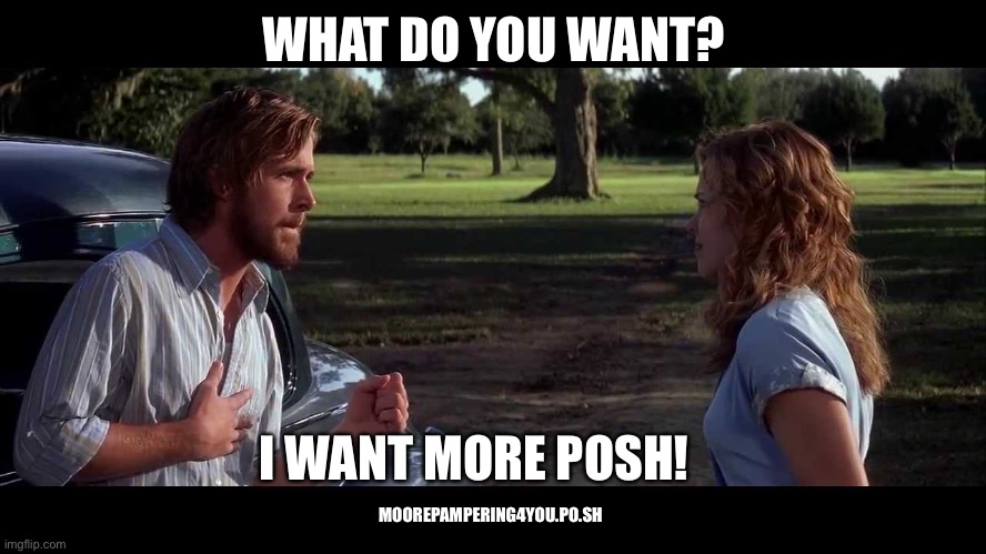  WHAT DO YOU WANT? I WANT MORE POSH! MOOREPAMPERING4YOU.PO.SH | image tagged in the notebook - what do you want | made w/ Imgflip meme maker