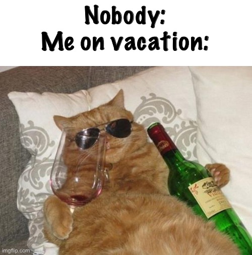 Anyone relate? | Nobody:
Me on vacation: | image tagged in funny cat birthday | made w/ Imgflip meme maker