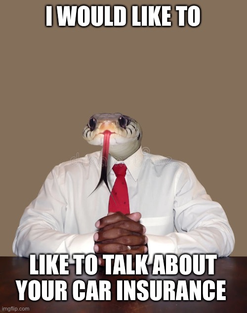 Business snake | I WOULD LIKE TO; LIKE TO TALK ABOUT YOUR CAR INSURANCE | image tagged in business snake | made w/ Imgflip meme maker