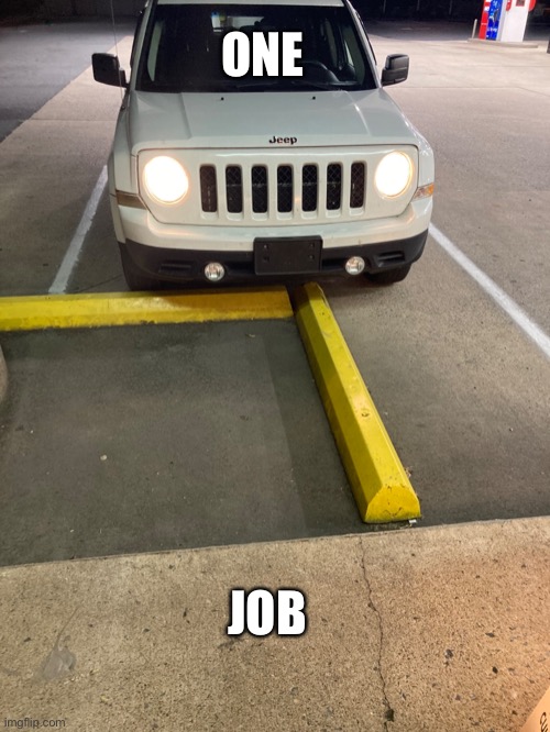 A feral fail | ONE; JOB | image tagged in you had one job | made w/ Imgflip meme maker