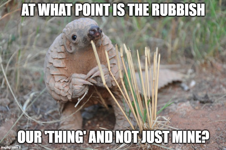Rubbish | AT WHAT POINT IS THE RUBBISH; OUR 'THING' AND NOT JUST MINE? | image tagged in pondering pangolin | made w/ Imgflip meme maker