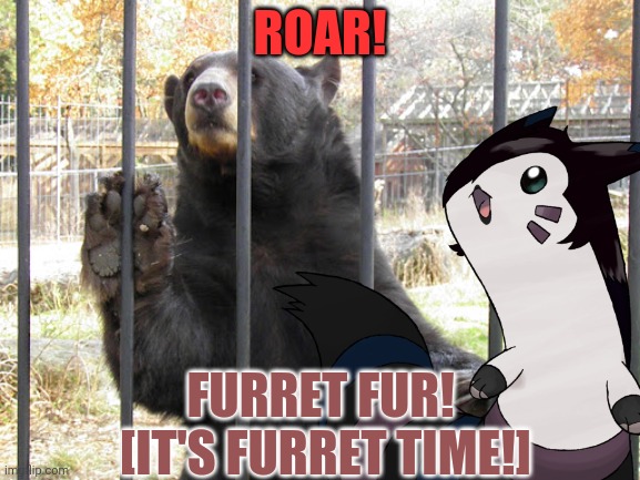 ROAR! FURRET FUR! 
[IT'S FURRET TIME!] | made w/ Imgflip meme maker