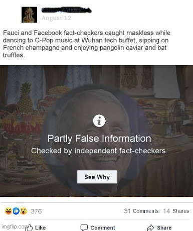 When Facebook says "partly" and you're left wondering which part is partly? | image tagged in funny facebook fact-checker alert,facebook,fact check,epic fail,big brother,funny | made w/ Imgflip meme maker