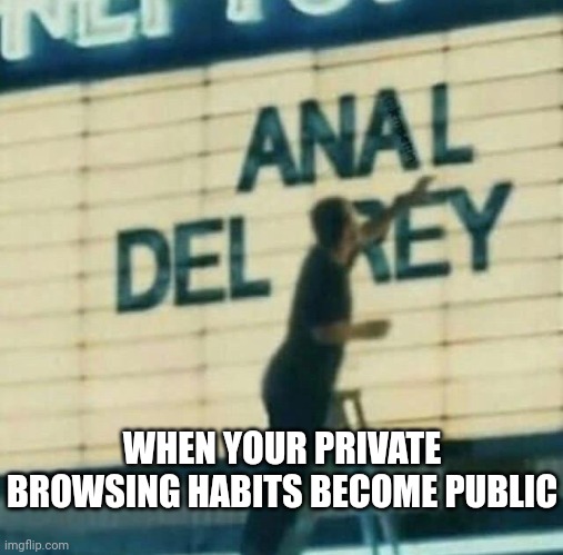 Oops | WHEN YOUR PRIVATE BROWSING HABITS BECOME PUBLIC | image tagged in lana del rey,mistake | made w/ Imgflip meme maker