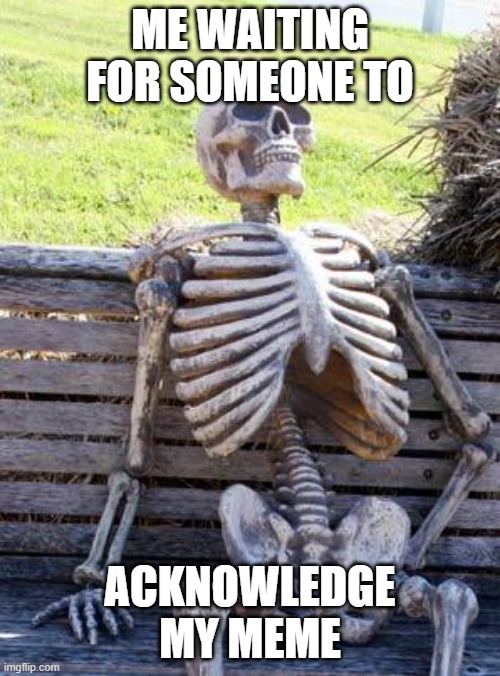 Pls | ME WAITING FOR SOMEONE TO; ACKNOWLEDGE MY MEME | image tagged in memes,waiting skeleton | made w/ Imgflip meme maker