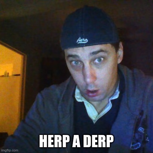 marshal tenner winter | HERP A DERP | image tagged in marshal tenner winter | made w/ Imgflip meme maker