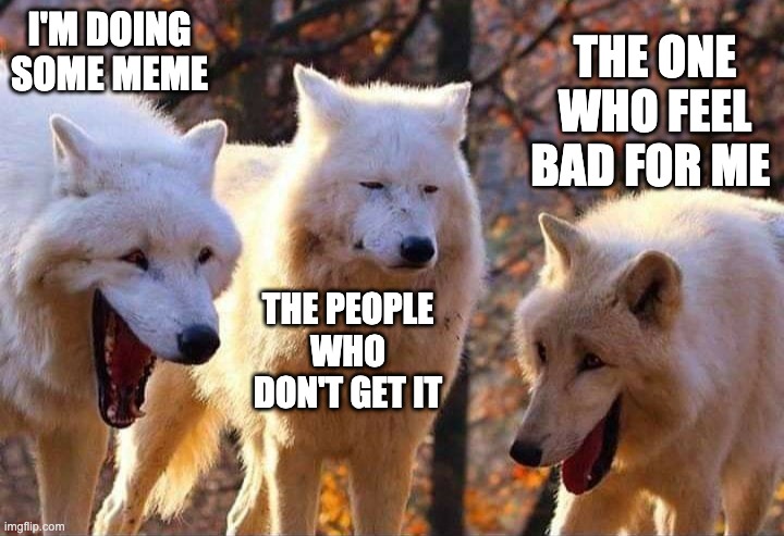 Laughing wolf |  I'M DOING SOME MEME; THE ONE WHO FEEL BAD FOR ME; THE PEOPLE WHO DON'T GET IT | image tagged in laughing wolf | made w/ Imgflip meme maker
