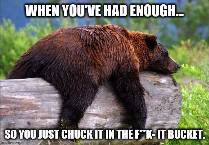 Had enough, I'm out. |  WHEN YOU'VE HAD ENOUGH... SO YOU JUST CHUCK IT IN THE F**K- IT BUCKET. | image tagged in lazy bear napping | made w/ Imgflip meme maker