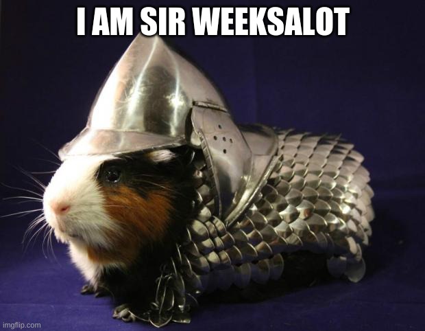 Guinea Pig | I AM SIR WEEKSALOT | image tagged in guinea pig | made w/ Imgflip meme maker