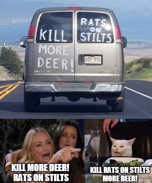 KILL RATS ON STILTS
MORE DEER! KILL MORE DEER! 
RATS ON STILTS | image tagged in woman yelling at cat,meme,memes,signs | made w/ Imgflip meme maker