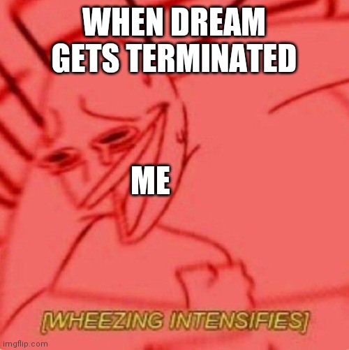 Lol | WHEN DREAM GETS TERMINATED; ME | image tagged in wheezing intensifies,dream | made w/ Imgflip meme maker