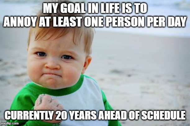 Success! | MY GOAL IN LIFE IS TO ANNOY AT LEAST ONE PERSON PER DAY; CURRENTLY 20 YEARS AHEAD OF SCHEDULE | image tagged in memes,success kid original | made w/ Imgflip meme maker