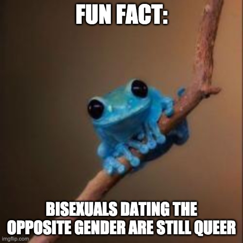 frog | FUN FACT:; BISEXUALS DATING THE OPPOSITE GENDER ARE STILL QUEER | image tagged in fun fact frog | made w/ Imgflip meme maker