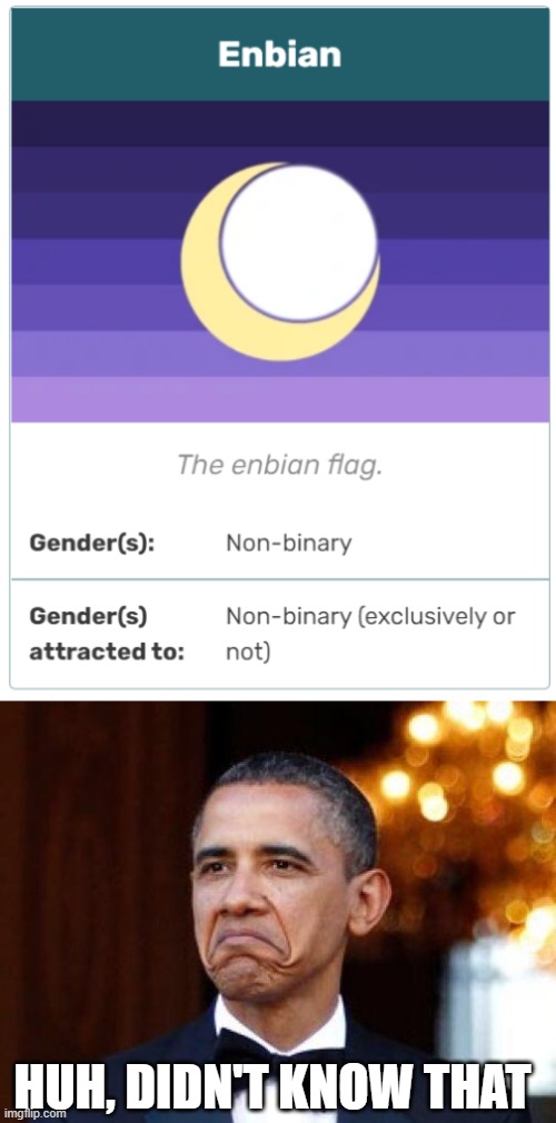 I just found out this existed | HUH, DIDN'T KNOW THAT | image tagged in obama not bad,enbian,lgbtq,orientation,memes | made w/ Imgflip meme maker
