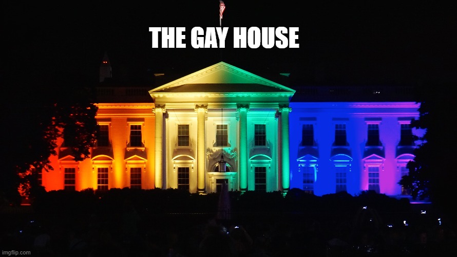 Nice. | THE GAY HOUSE | image tagged in white house,memes,funny,lgbtq,rainbow,gay | made w/ Imgflip meme maker