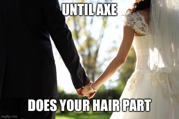 Until death do hair part | UNTIL AXE; DOES YOUR HAIR PART | image tagged in wedding,bliss,married | made w/ Imgflip meme maker