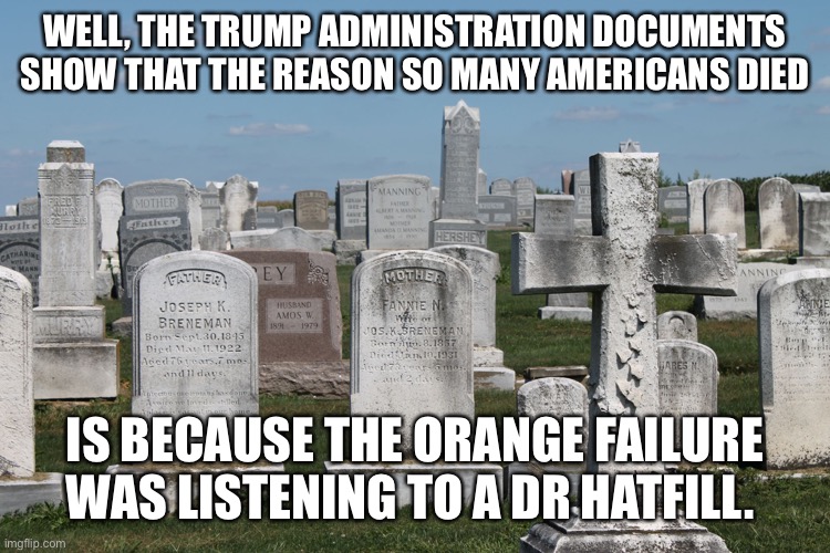 Cemetary | WELL, THE TRUMP ADMINISTRATION DOCUMENTS SHOW THAT THE REASON SO MANY AMERICANS DIED; IS BECAUSE THE ORANGE FAILURE WAS LISTENING TO A DR HATFILL. | image tagged in cemetary | made w/ Imgflip meme maker