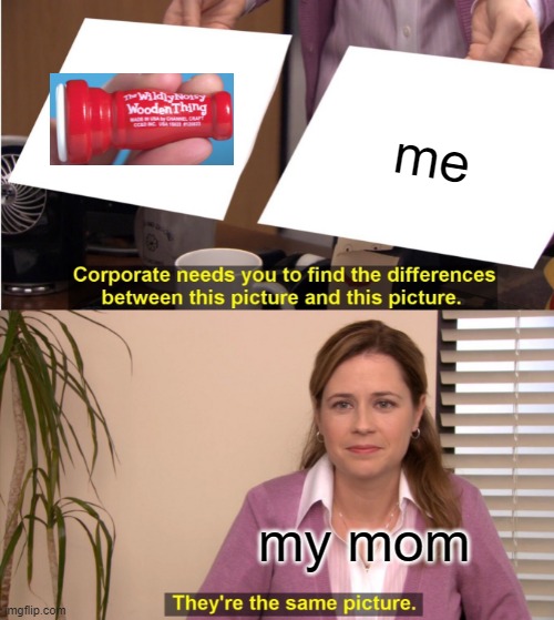 the only diffrence is im made from flesh | me; my mom | image tagged in memes,they're the same picture | made w/ Imgflip meme maker