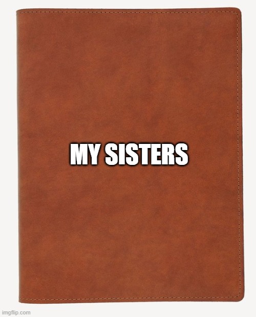 My sisters book | MY SISTERS | image tagged in blank book cover | made w/ Imgflip meme maker