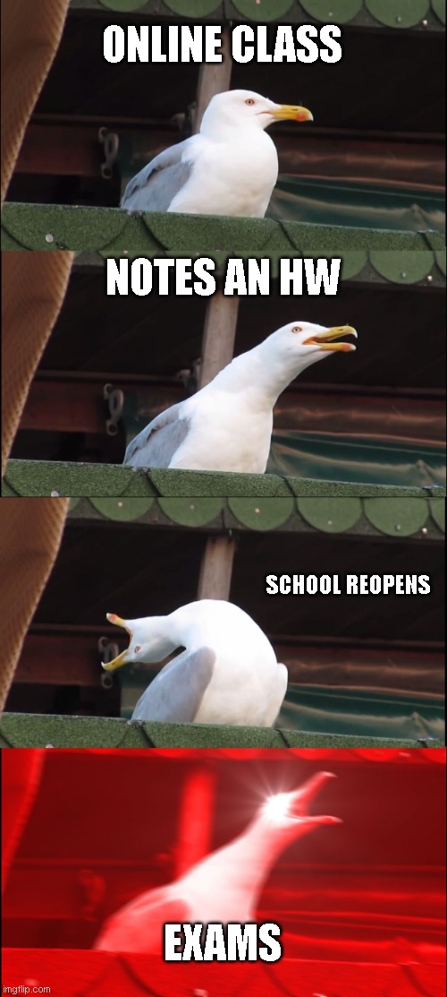 Inhaling Seagull | ONLINE CLASS; NOTES AN HW; SCHOOL REOPENS; EXAMS | image tagged in memes,inhaling seagull | made w/ Imgflip meme maker