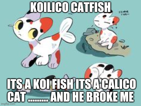 Opioid catfish | KOILICO CATFISH; ITS A KOI FISH ITS A CALICO CAT ......... AND HE BROKE ME | image tagged in dank,memes | made w/ Imgflip meme maker