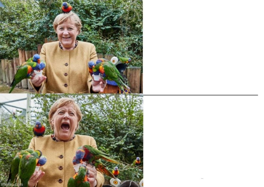 Merkel with Birds Blank Meme Template