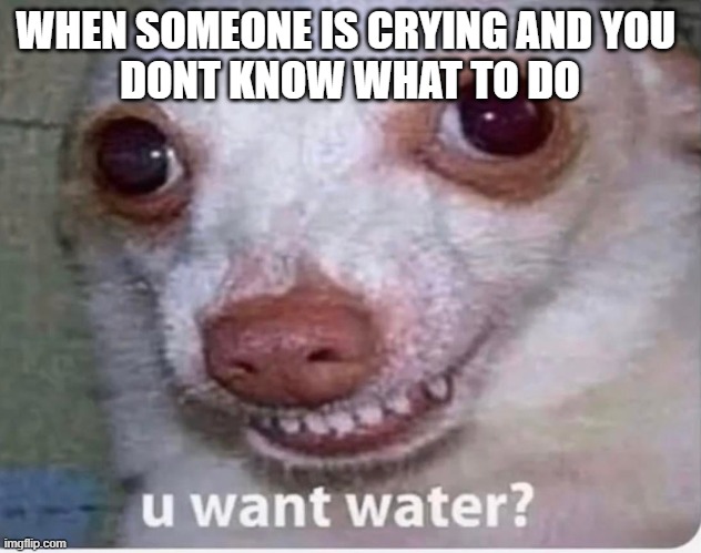 u want water? | WHEN SOMEONE IS CRYING AND YOU 
DONT KNOW WHAT TO DO | image tagged in u want water | made w/ Imgflip meme maker