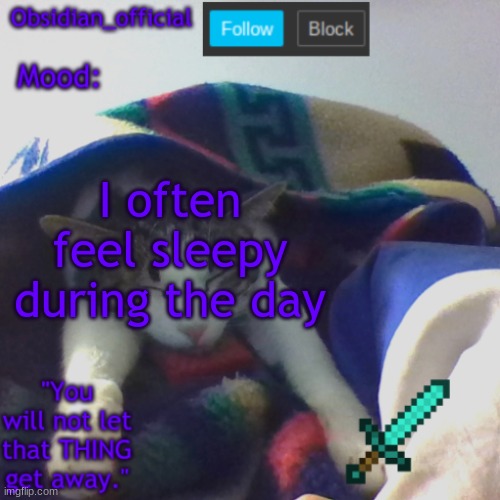 I often feel sleepy during the day | image tagged in obsidian_official's template2 | made w/ Imgflip meme maker