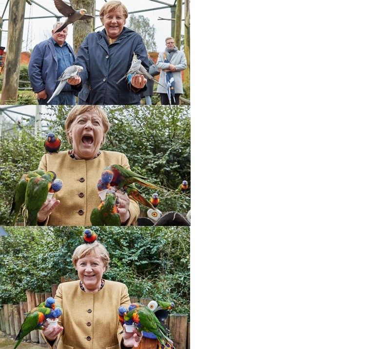 High Quality Merkels Last Meme Blank Meme Template