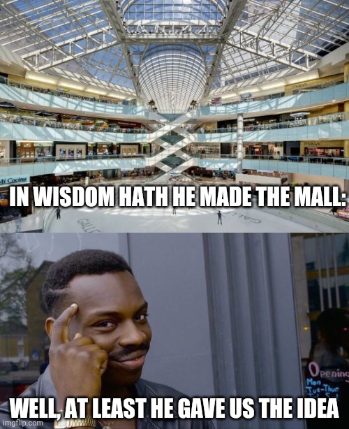 Psalms 104:24 | IN WISDOM HATH HE MADE THE MALL:; WELL, AT LEAST HE GAVE US THE IDEA | image tagged in memes,roll safe think about it,holy bible,bible verse,old testament | made w/ Imgflip meme maker