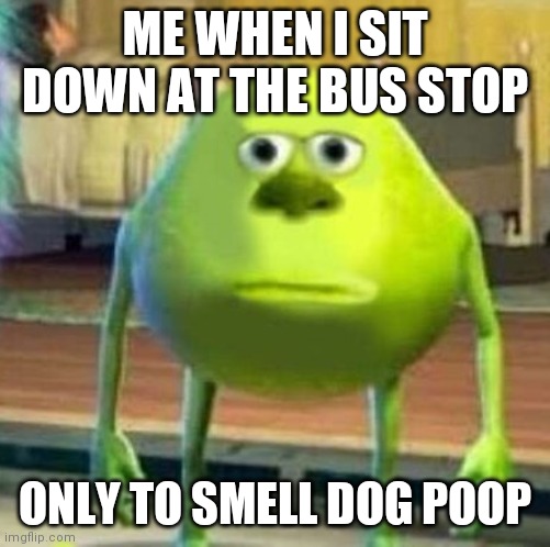 Mike wasowski sully face swap | ME WHEN I SIT DOWN AT THE BUS STOP; ONLY TO SMELL DOG POOP | image tagged in mike wasowski sully face swap | made w/ Imgflip meme maker