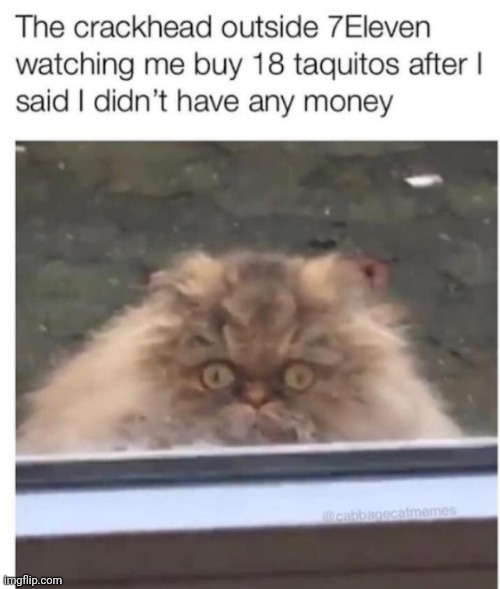 image tagged in funny memes | made w/ Imgflip meme maker