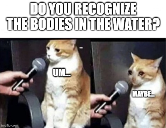 mom pick me up I'm scared | DO YOU RECOGNIZE THE BODIES IN THE WATER? UM... MAYBE... | image tagged in crying cat interview horizontal | made w/ Imgflip meme maker