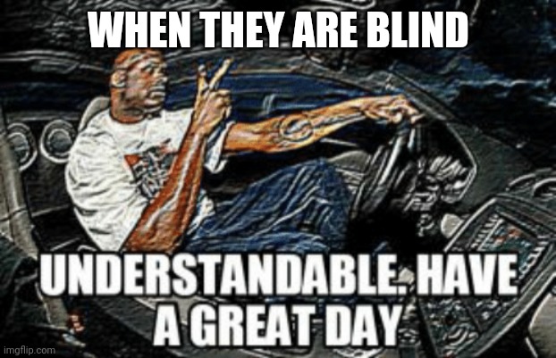Understandable have a great day | WHEN THEY ARE BLIND | image tagged in understandable have a great day | made w/ Imgflip meme maker