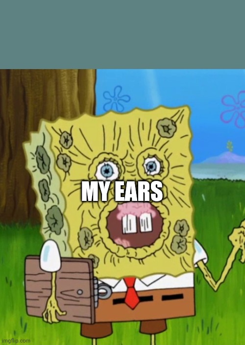 SpongeBob shriveled | MY EARS | image tagged in spongebob shriveled | made w/ Imgflip meme maker
