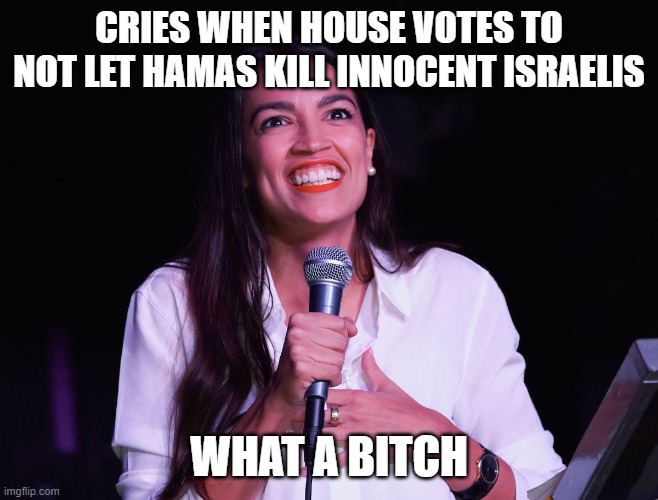 AOC Crazy | CRIES WHEN HOUSE VOTES TO NOT LET HAMAS KILL INNOCENT ISRAELIS; WHAT A BITCH | image tagged in aoc crazy | made w/ Imgflip meme maker