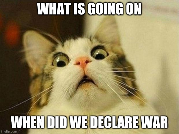 help | WHAT IS GOING ON; WHEN DID WE DECLARE WAR | image tagged in memes,scared cat | made w/ Imgflip meme maker