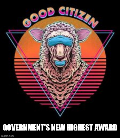 GOVERNMENT'S NEW HIGHEST AWARD | image tagged in good citizen award | made w/ Imgflip meme maker