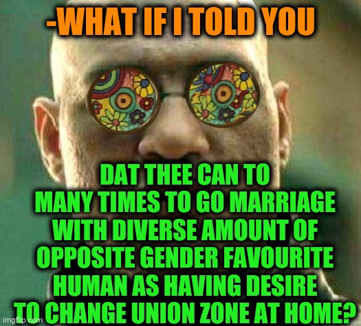 -Very various. | -WHAT IF I TOLD YOU; DAT THEE CAN TO MANY TIMES TO GO MARRIAGE WITH DIVERSE AMOUNT OF OPPOSITE GENDER FAVOURITE HUMAN AS HAVING DESIRE TO CHANGE UNION ZONE AT HOME? | image tagged in acid kicks in morpheus,marriage equality,change my mind,too many tags,reunion,favorite | made w/ Imgflip meme maker