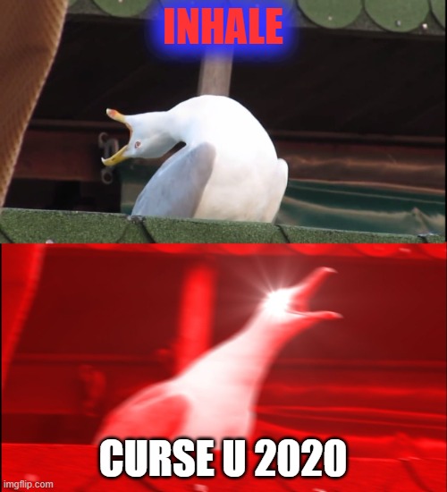 Screaming bird | INHALE CURSE U 2020 | image tagged in screaming bird | made w/ Imgflip meme maker