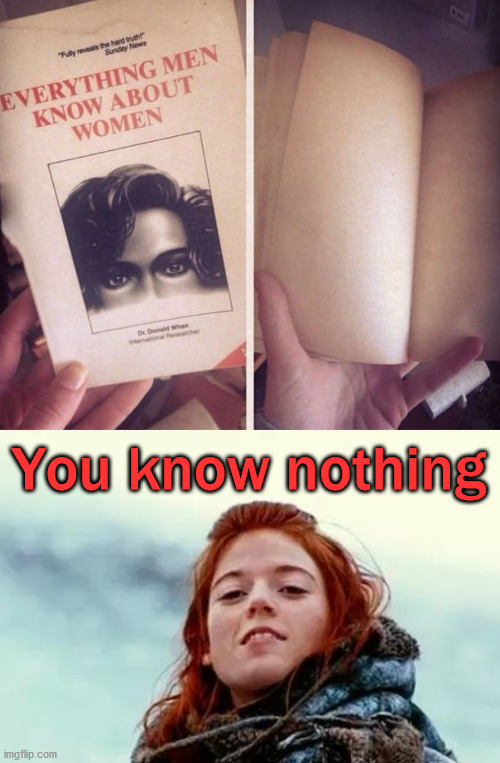 I drawing a blank | You know nothing | image tagged in you know nothing | made w/ Imgflip meme maker