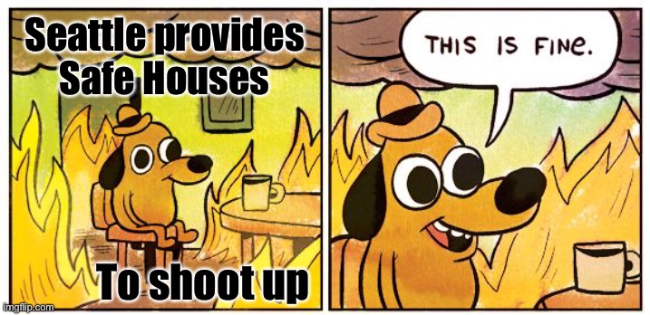 This Is Fine Meme | Seattle provides Safe Houses To shoot up | image tagged in memes,this is fine | made w/ Imgflip meme maker