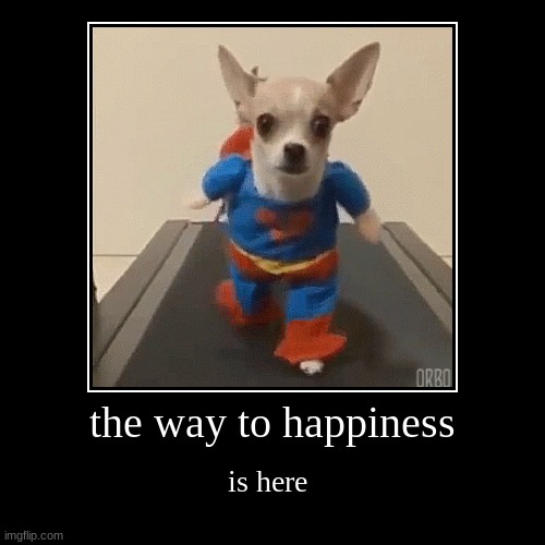 HAPPinESS | the way to happiness | is here | image tagged in funny,demotivationals | made w/ Imgflip demotivational maker