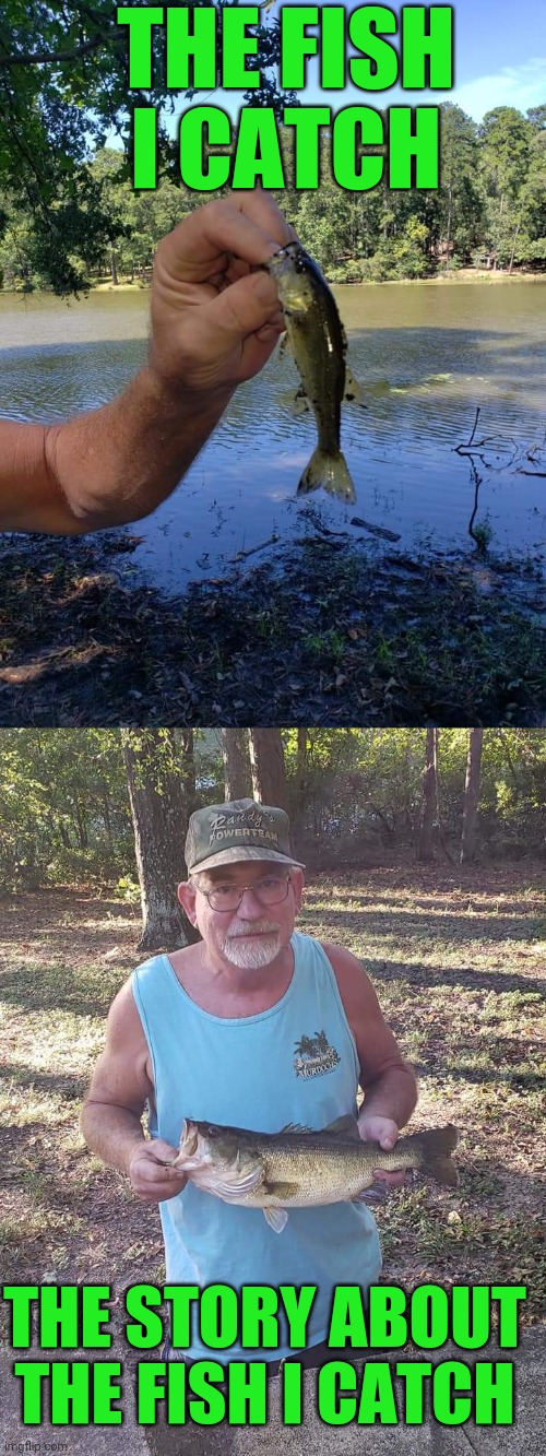 The fish I catch | THE FISH I CATCH; THE STORY ABOUT THE FISH I CATCH | image tagged in fishing,fish,stories,tall tale | made w/ Imgflip meme maker