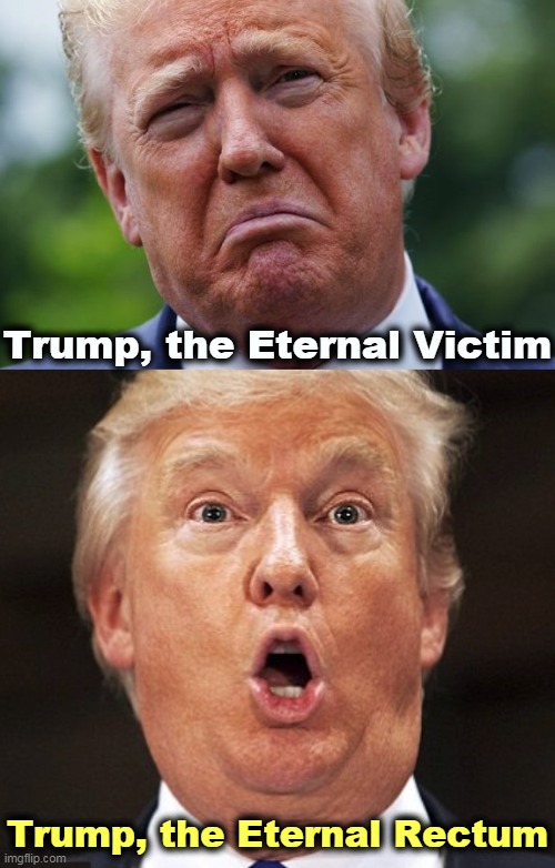 Trump, the Eternal Victim; Trump, the Eternal Rectum | image tagged in trump,always,victim,hole | made w/ Imgflip meme maker