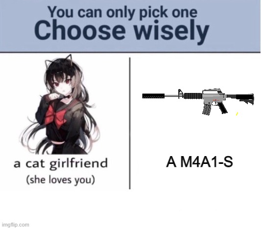 Choose wisely |  A M4A1-S | image tagged in choose wisely,fun,guns | made w/ Imgflip meme maker