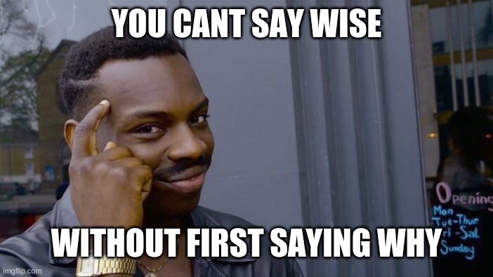 Roll Safe Think About It Meme | YOU CANT SAY WISE; WITHOUT FIRST SAYING WHY | image tagged in memes,roll safe think about it | made w/ Imgflip meme maker