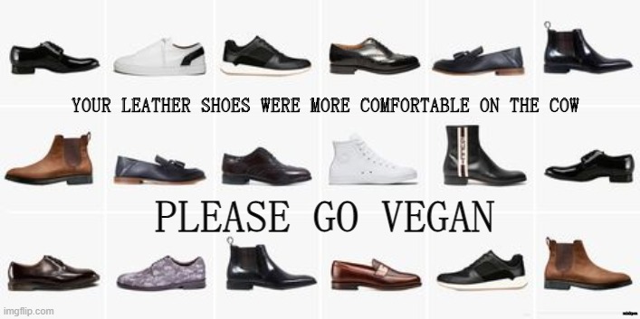 Leather 3 | YOUR LEATHER SHOES WERE MORE COMFORTABLE ON THE COW; PLEASE GO VEGAN; minkpen | image tagged in vegan,leather,belt,bag,shoes,jacket | made w/ Imgflip meme maker