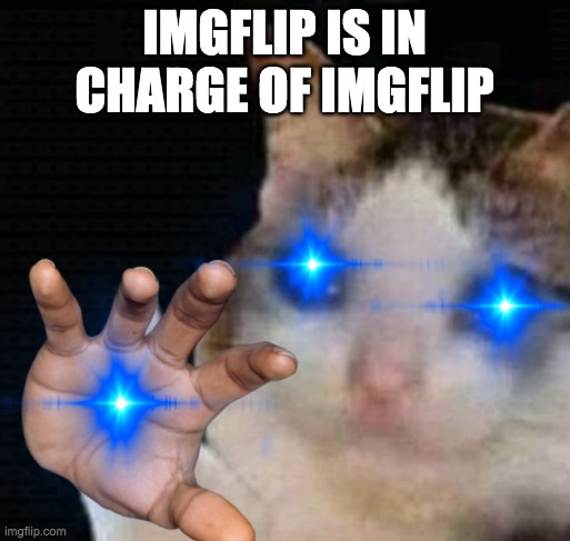 IMGFLIP IS IN CHARGE OF IMGFLIP | made w/ Imgflip meme maker
